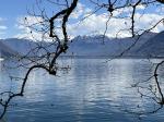IMG_8450